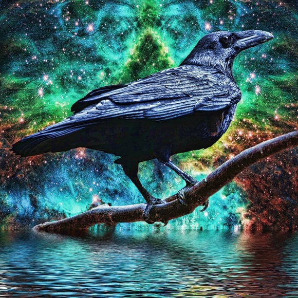 Meet your Posher, Brenda - Picture 11 of 13